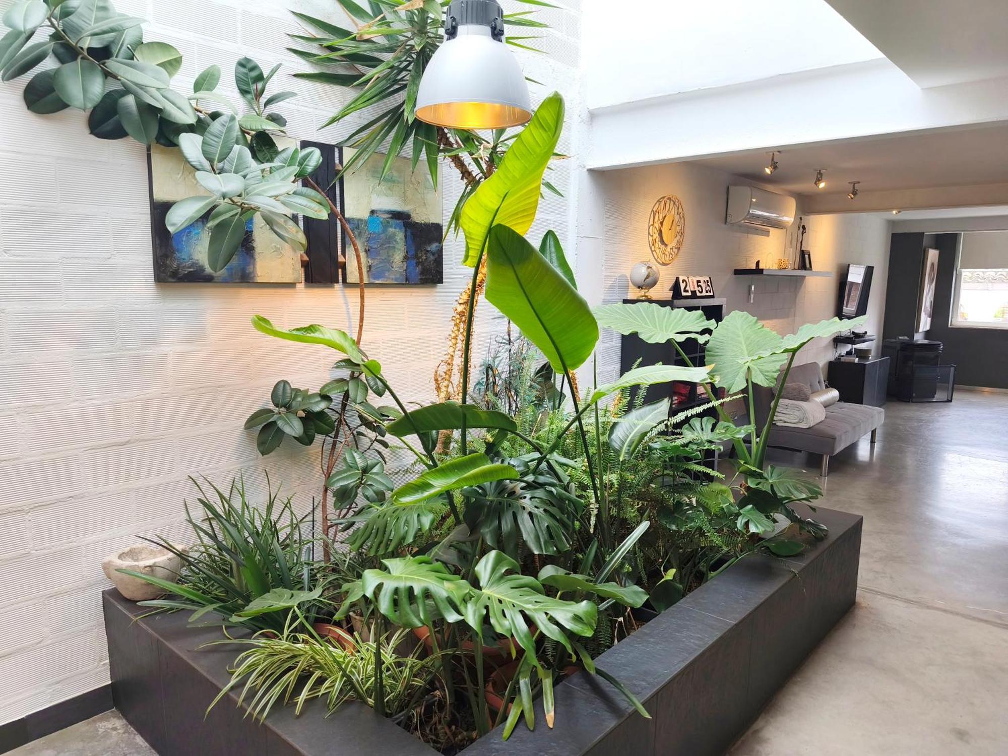 Apartamento Loft Carrasketa Alfafara Exterior foto